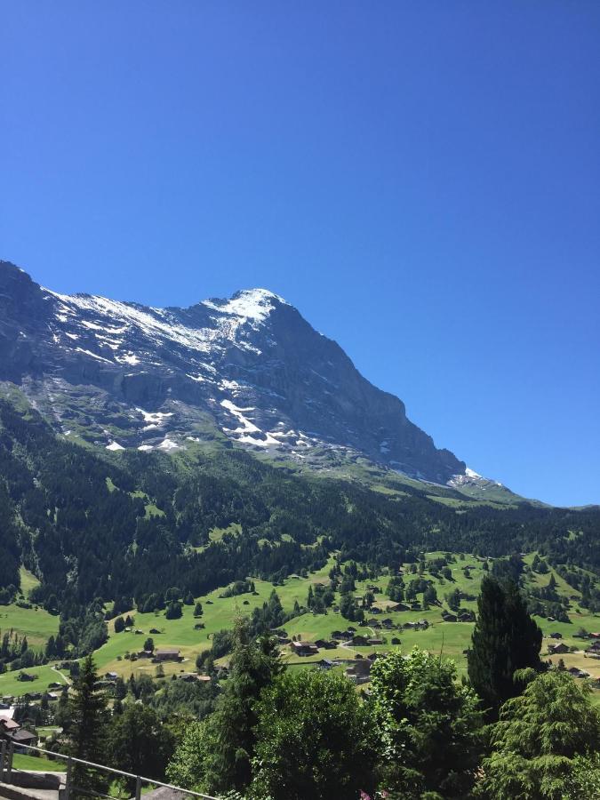 Apartment Jungfrau Lodge Grindelwald Zewnętrze zdjęcie
